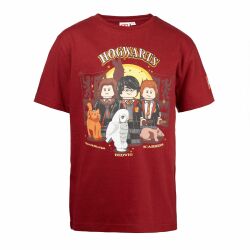 Harry Potter T-shirt - bordeauxrød