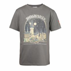 Harry Potter T-shirt - grå