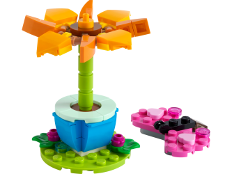 Haveblomst og sommerfugl