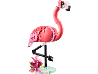 Vilde dyr: Pink flamingo