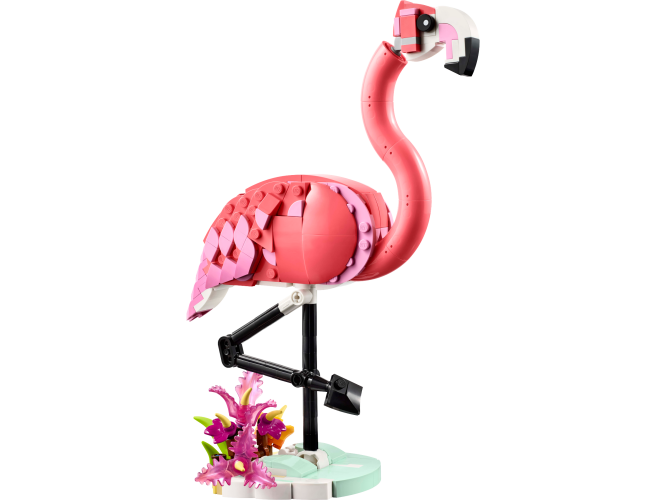 Vilde dyr: Pink flamingo