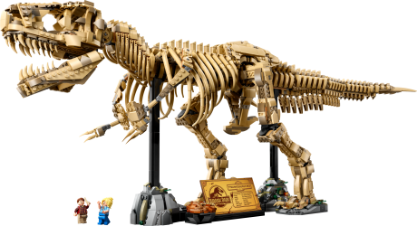 Dinosaurfossiler: Tyrannosaurus rex