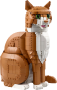 Orange kat