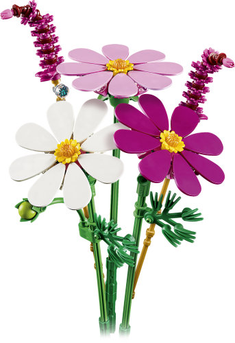 Stolt kavaler-blomster