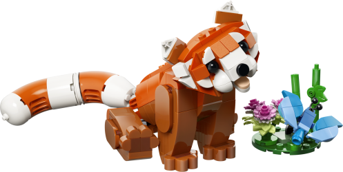 Søde dyr: Rød panda