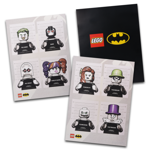 Insiders Batman™ Arkham Asylum™-plakater – sæt med 2 stk.