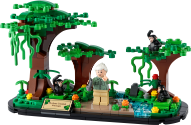 Hyldest til Jane Goodall