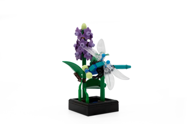 Insiders Dragon Fly Garden