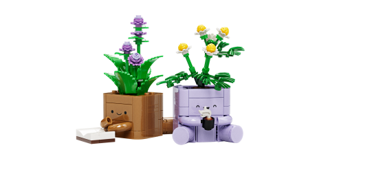 Hyggelige planter